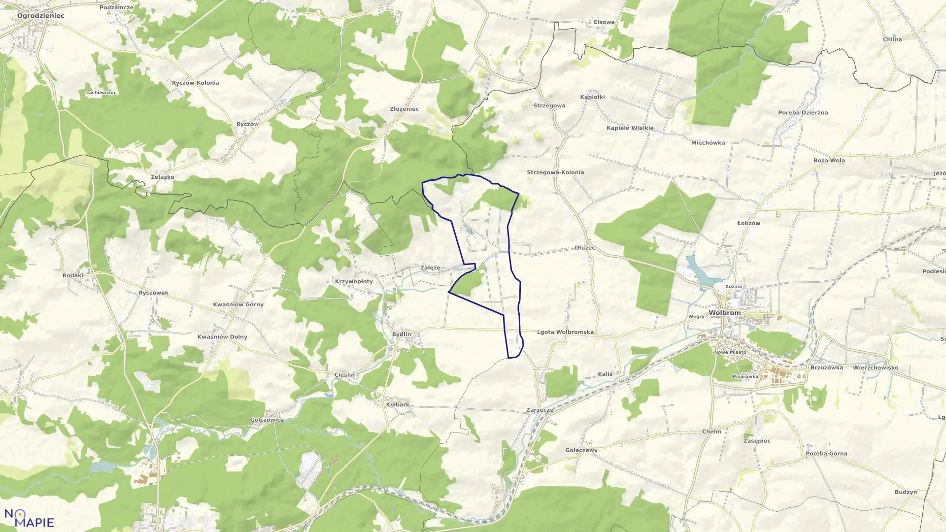 Mapa obrębu Domaniewice w gminie Wolbrom